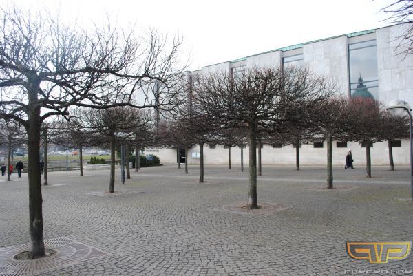 ���� ���������